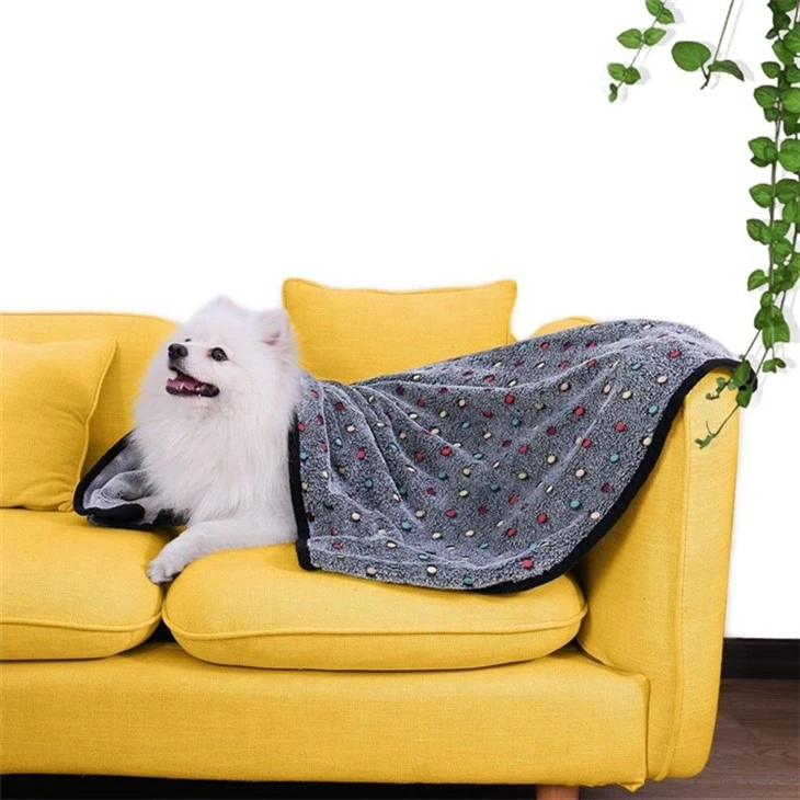 dog sofa blanket